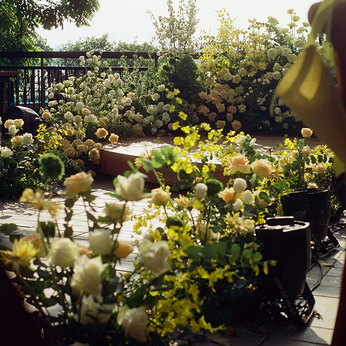 Arrangements floraux sur un balcon