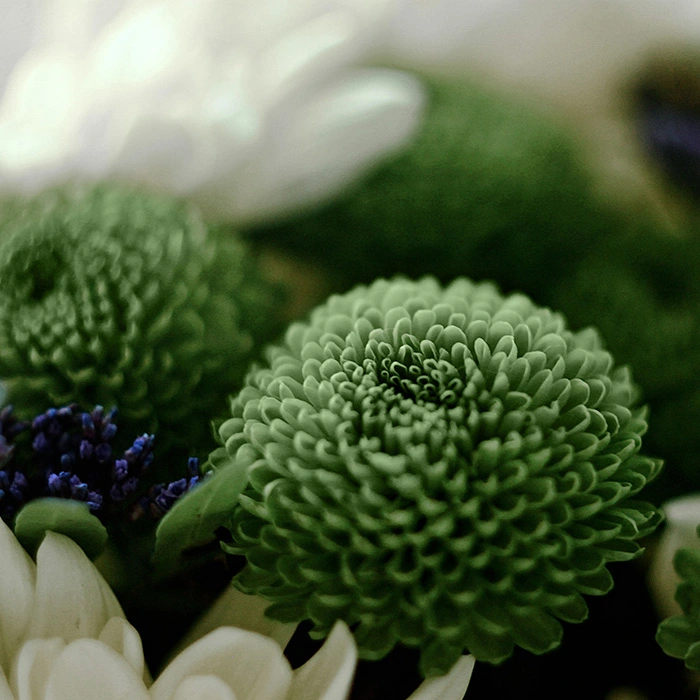 Bouquet en gros plan dans des tons verts